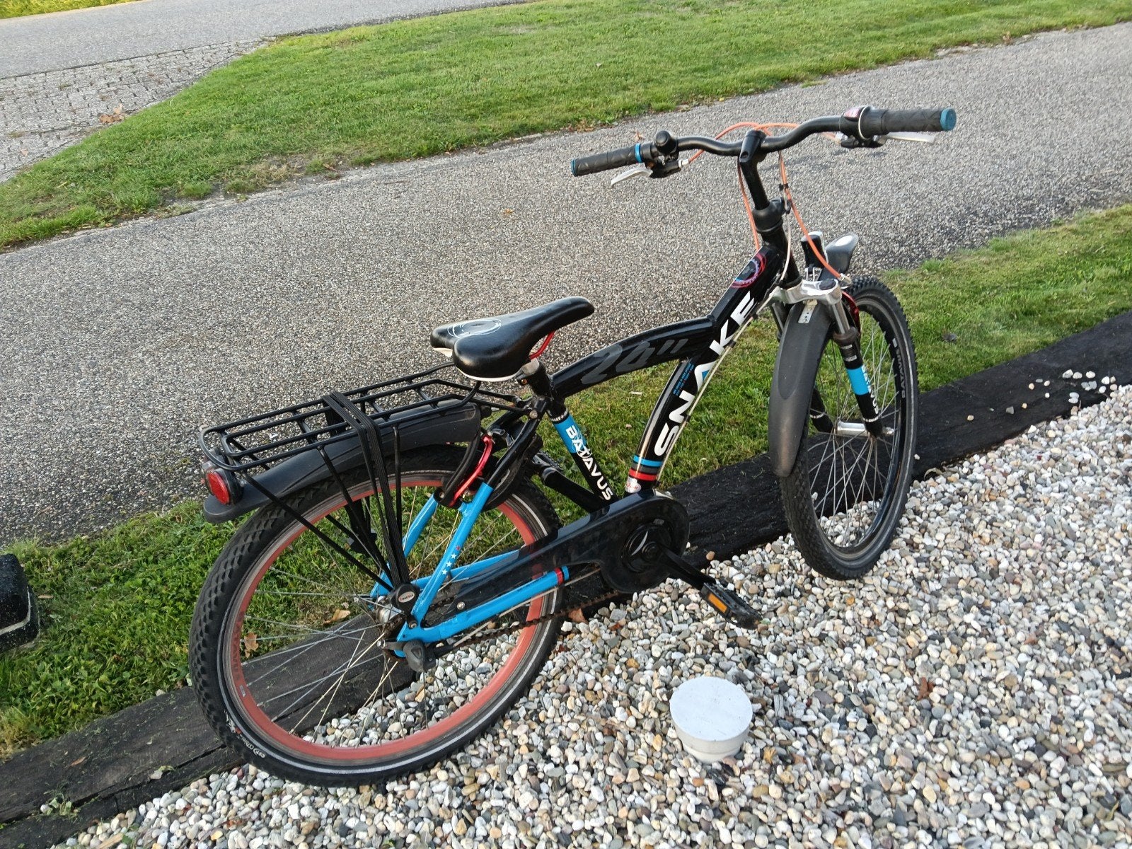 Foto 3 van Batavus Snake 24 inch