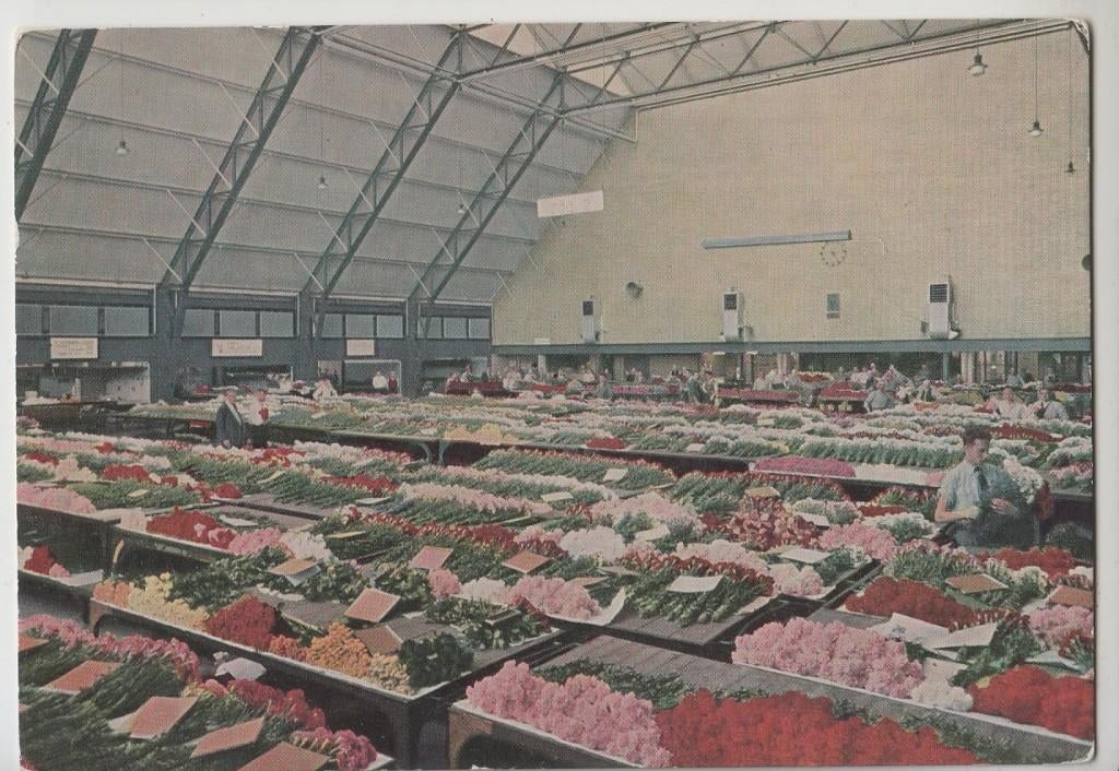 Aalsmeer Veiling Grote zaal Snijbloemen afdeling Ongelopen, Verzamelen, Ansichtkaarten | Nederland, Verzenden, 1980 tot heden