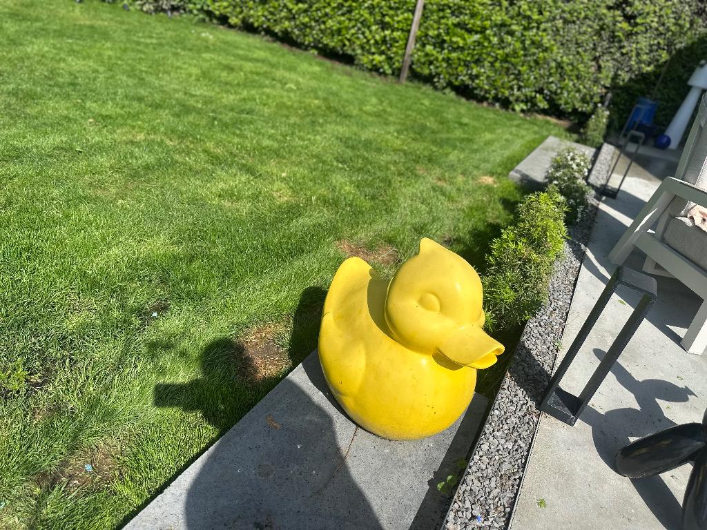 Eend Tuinbeeld, Tuin en Terras, Tuinbeelden, Ophalen of Verzenden, Gebruikt, Overige materialen, Dierenbeeld