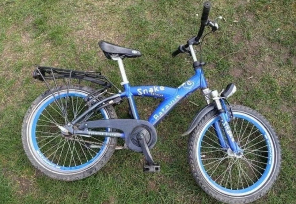 blauwe Batavus Snake fiets kinderfiets 20 inch, Ophalen of Verzenden, Gebruikt, 20 inch of meer