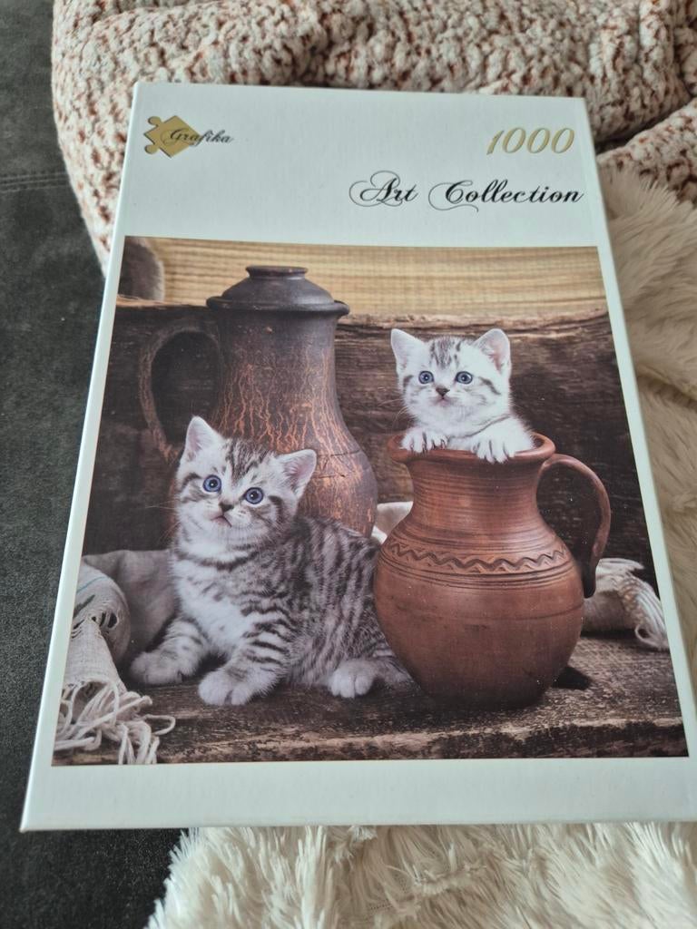 Katten puzzel, Ophalen of Verzenden, 500 t/m 1500 stukjes, Zo goed als nieuw