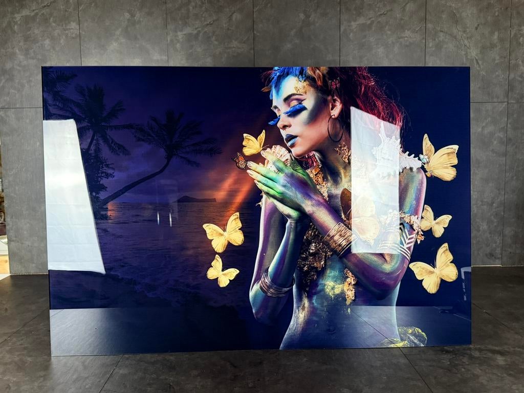 Prachtige Vlinder Lady plexiglas schilderij, Ophalen of Verzenden