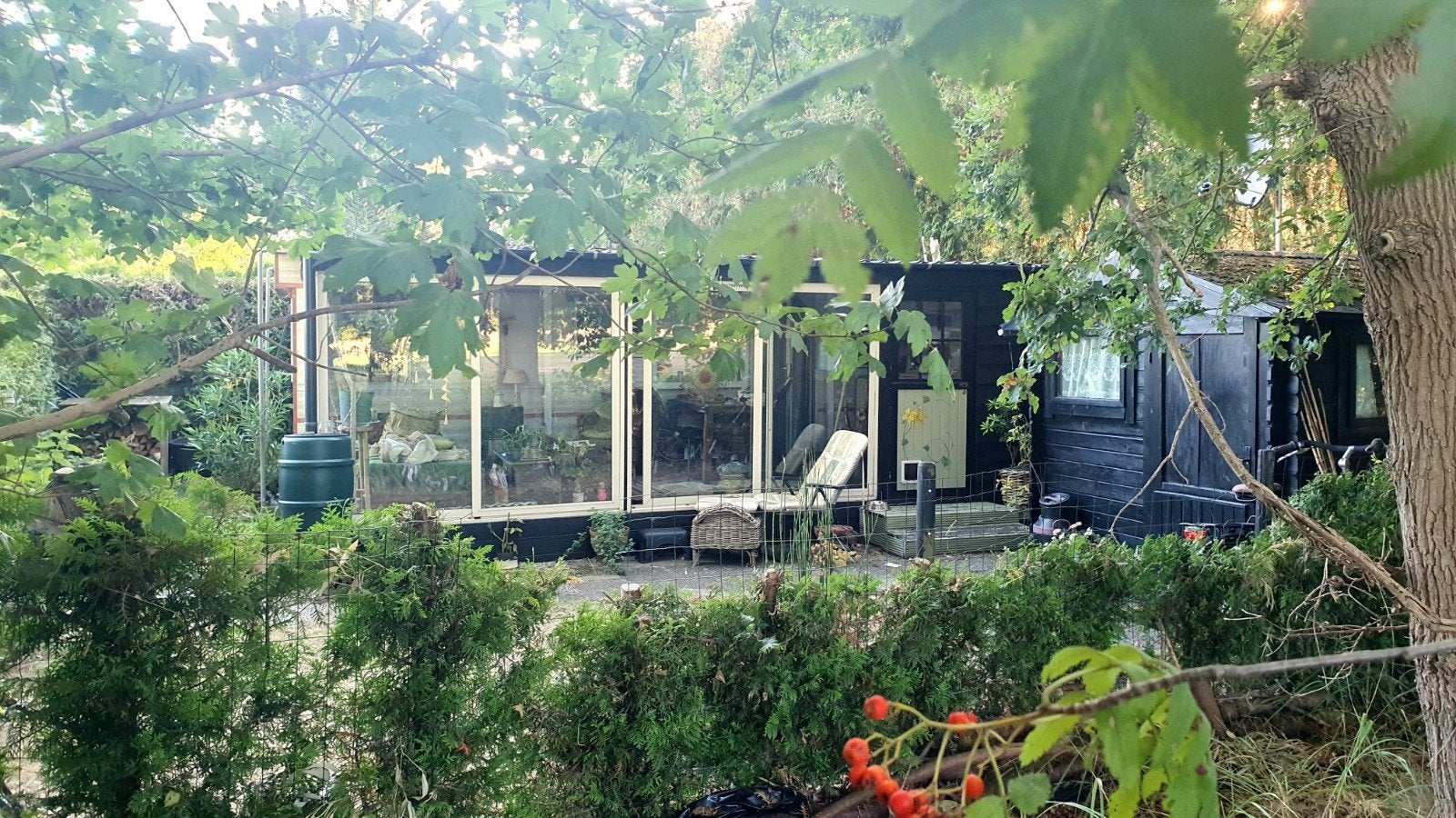 Vakantiehuisje Achterhoek, Tuin
