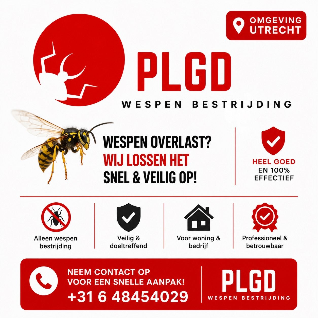 Wespenbestrijding Utrecht | Snel, Veilig & Betaalbaar
