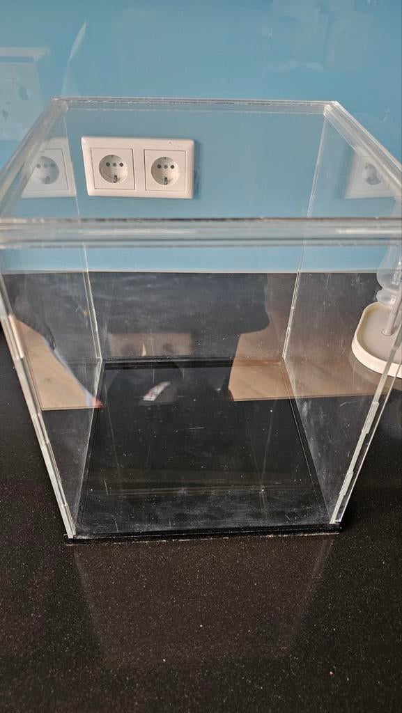Display case., Ophalen of Verzenden