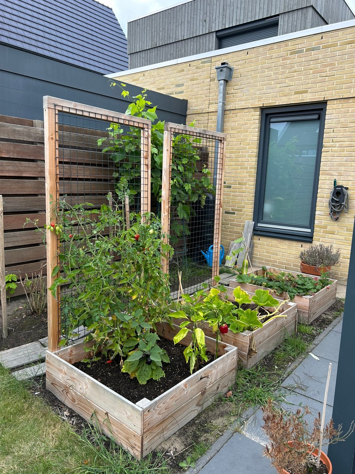 Moestuin bakken, Tuin en Terras, Ophalen, Gebruikt, Kweekbak