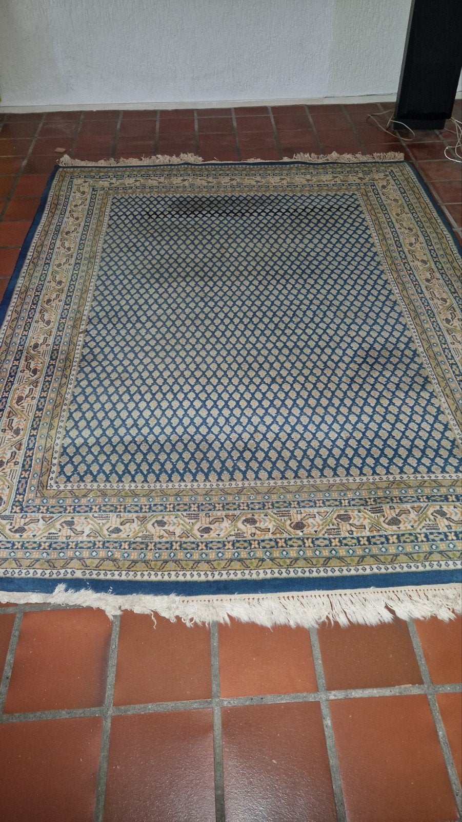 Kleed met ondertapijt, Ophalen, Gebruikt, Rechthoekig, 200 cm of meer