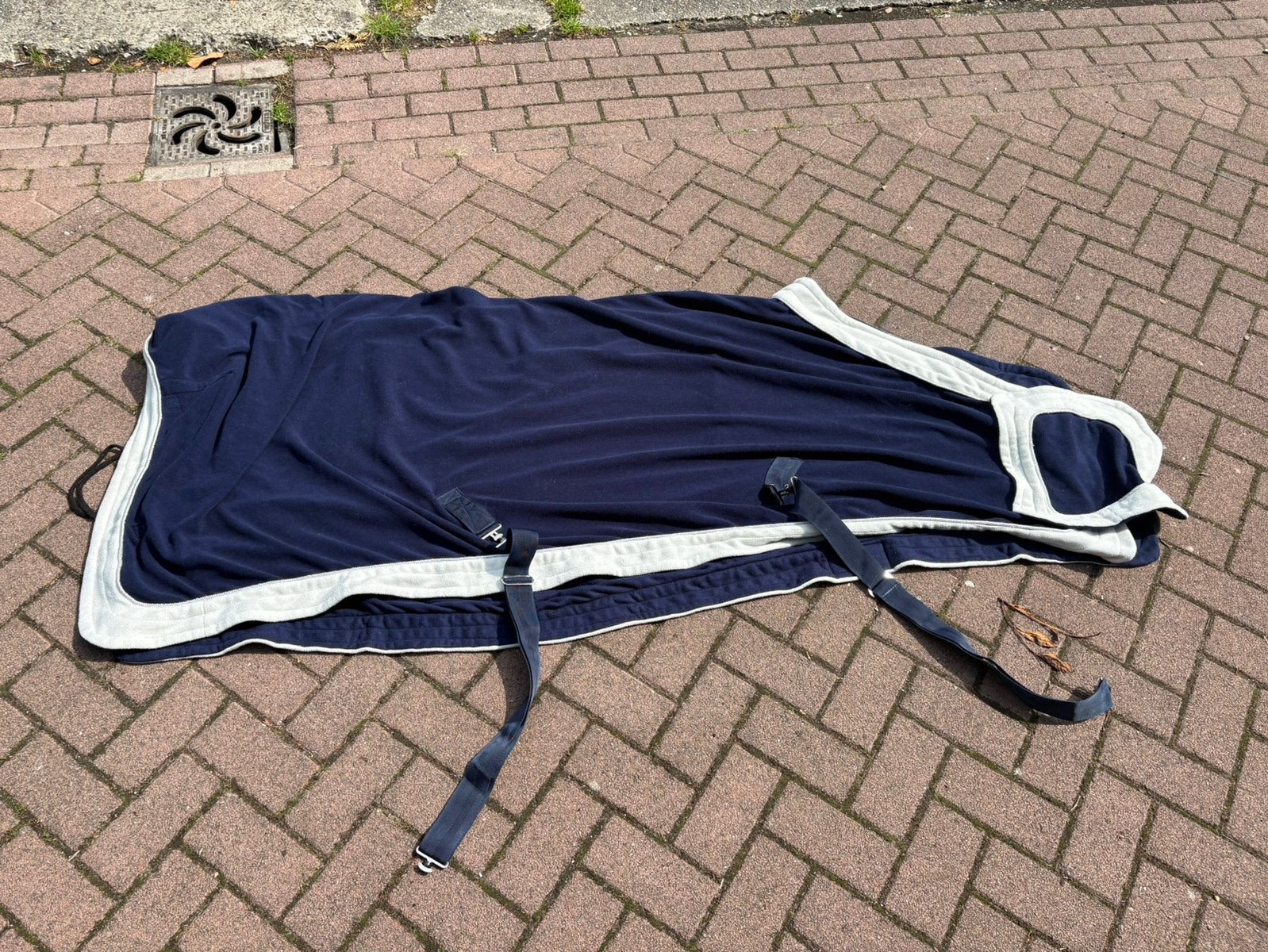 Zweetdeken maat 215, Gebruikt, Zweetdeken, Ophalen of Verzenden, Harry's Horse