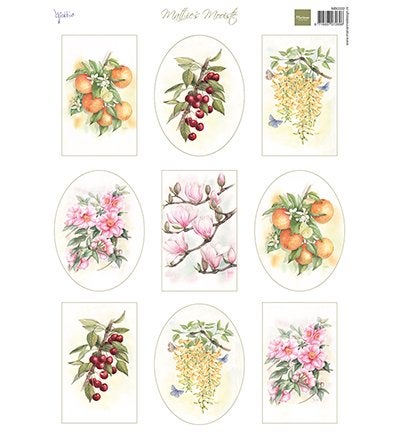 Marianne Design Mattie's Mooiste Fruit en Flowers knipvel A4, ., Nieuw, Ophalen of Verzenden, .