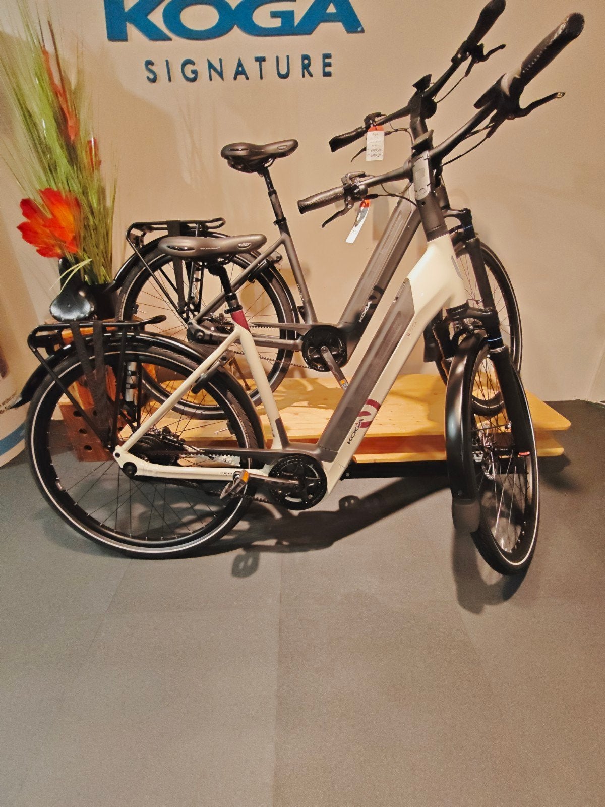 Koga Evia pt pro, 51 tot 55 cm, Ophalen, Nieuw, Overige merken