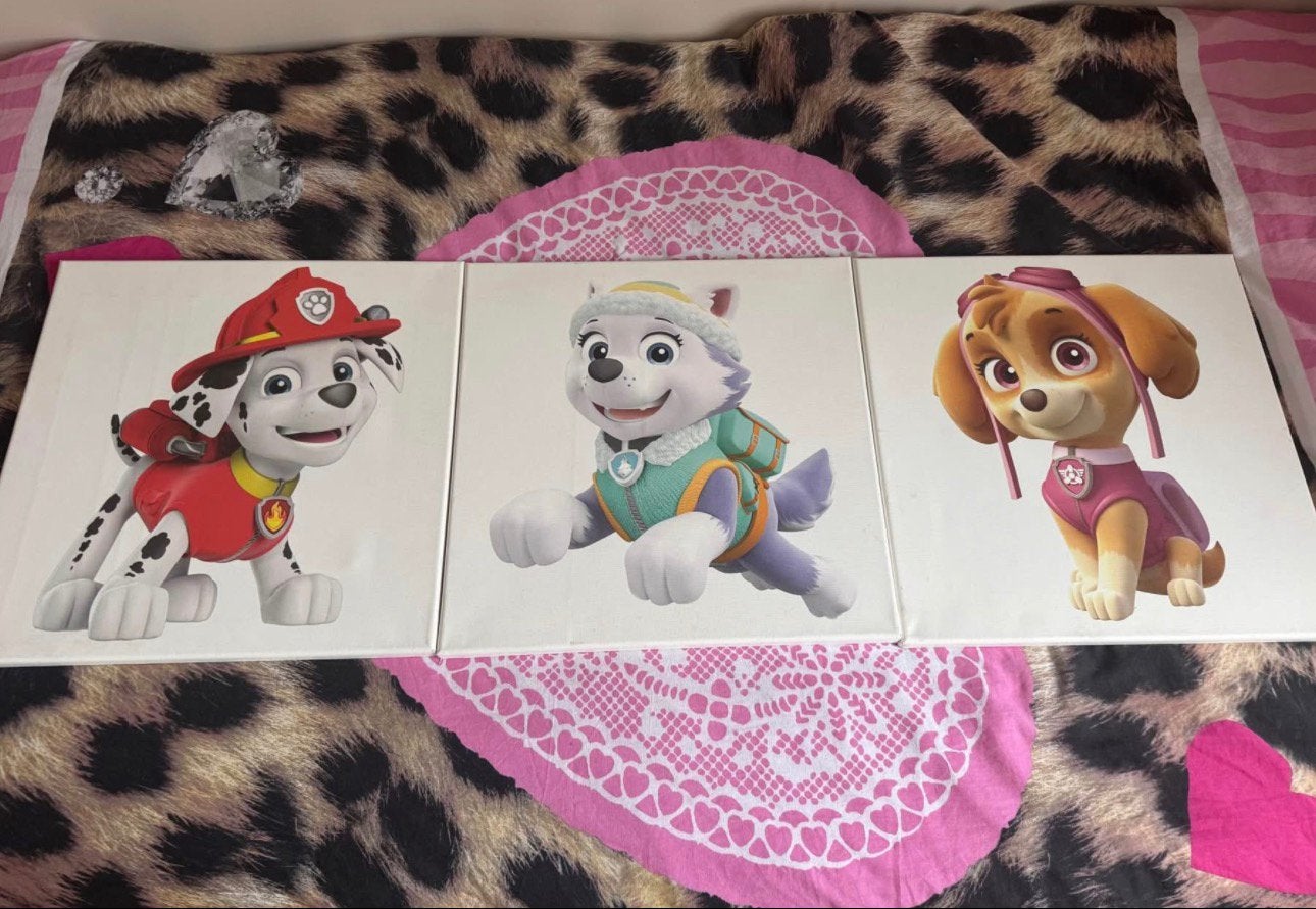 3 canvasschilderijen Paw Patrol, Ophalen, Zo goed als nieuw, Minder dan 50 cm, Schilderij