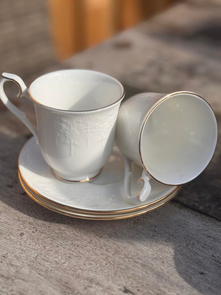 Royal albert kop en schotel for all seasons, Ophalen of Verzenden