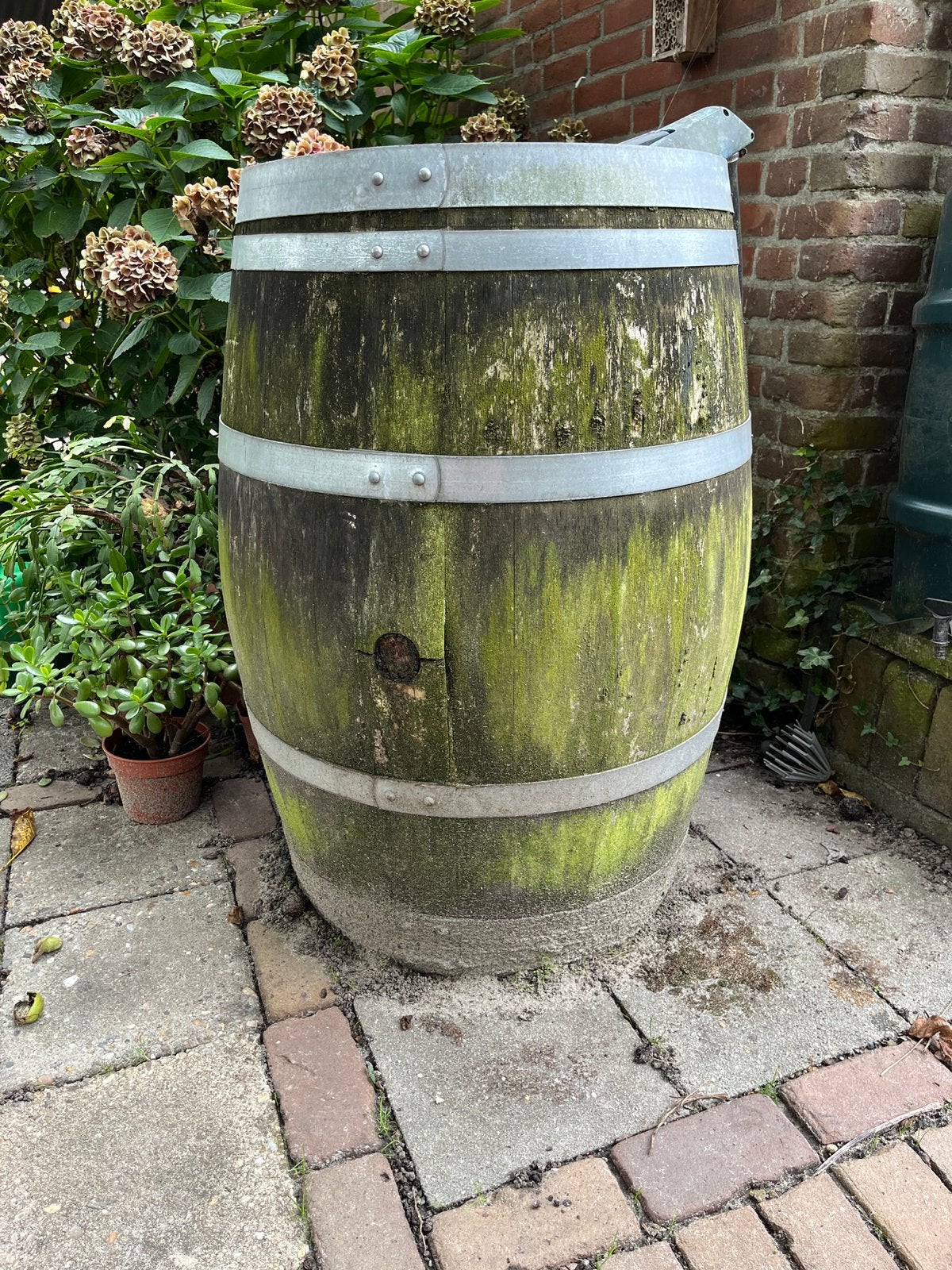 Regenton, Tuin en Terras, Overige materialen, Gebruikt, 150 liter of meer, Ophalen of Verzenden