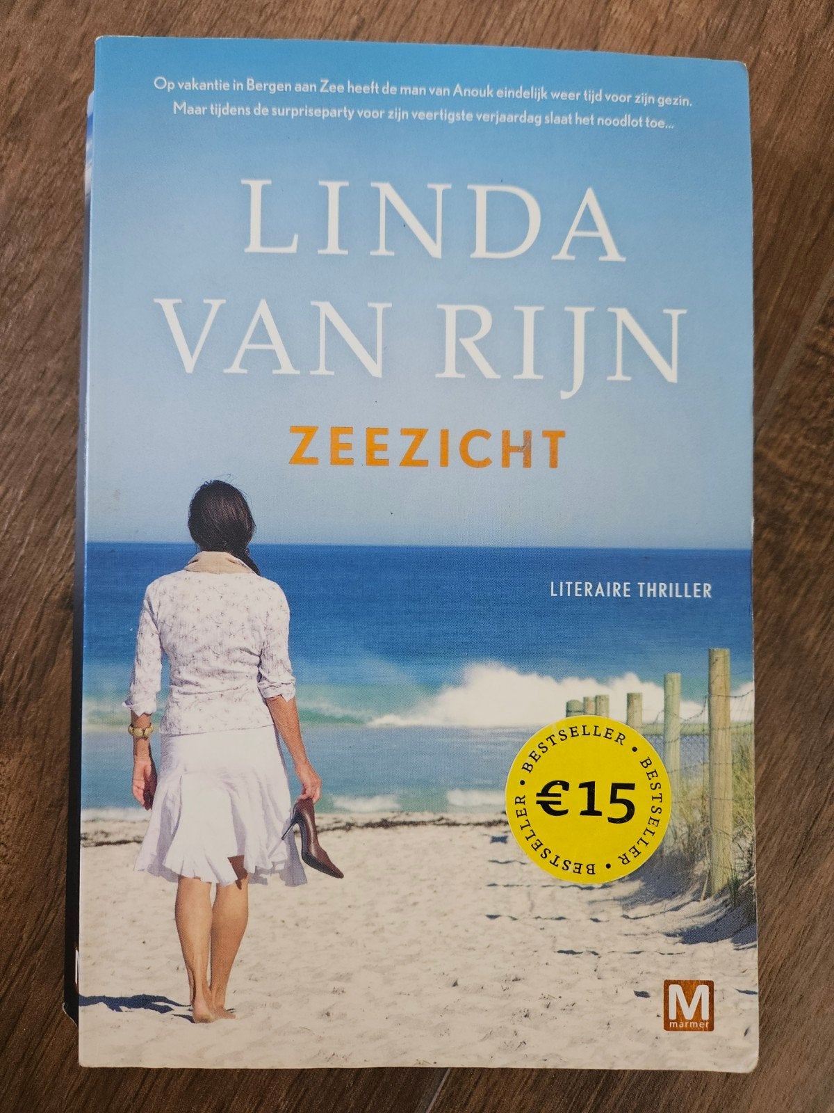 Linda van Rijn - Zeezicht (Literaire thriller), Boeken, Ophalen of Verzenden, Gelezen, Linda van Rijn, Nederland