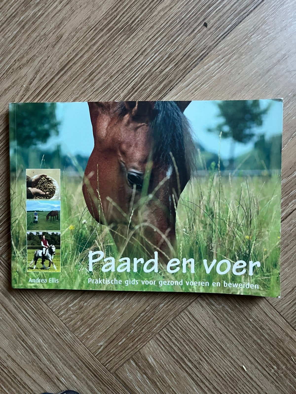 Paard en voer: Praktische gids voor gezond voeren en beweide, Boeken, Ophalen of Verzenden, Gelezen, Paarden of Pony's