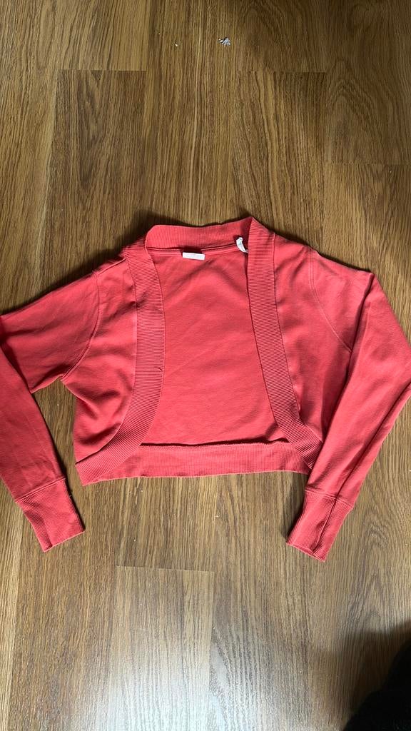 Roze bolero vestje maat M, Ophalen of Verzenden, Gedragen, Maat 38/40 (M), Roze