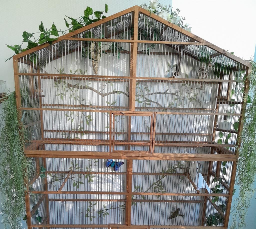 Kooi volière massief eikenhout vakwerk!, Ophalen, Hout, Vogelkooi