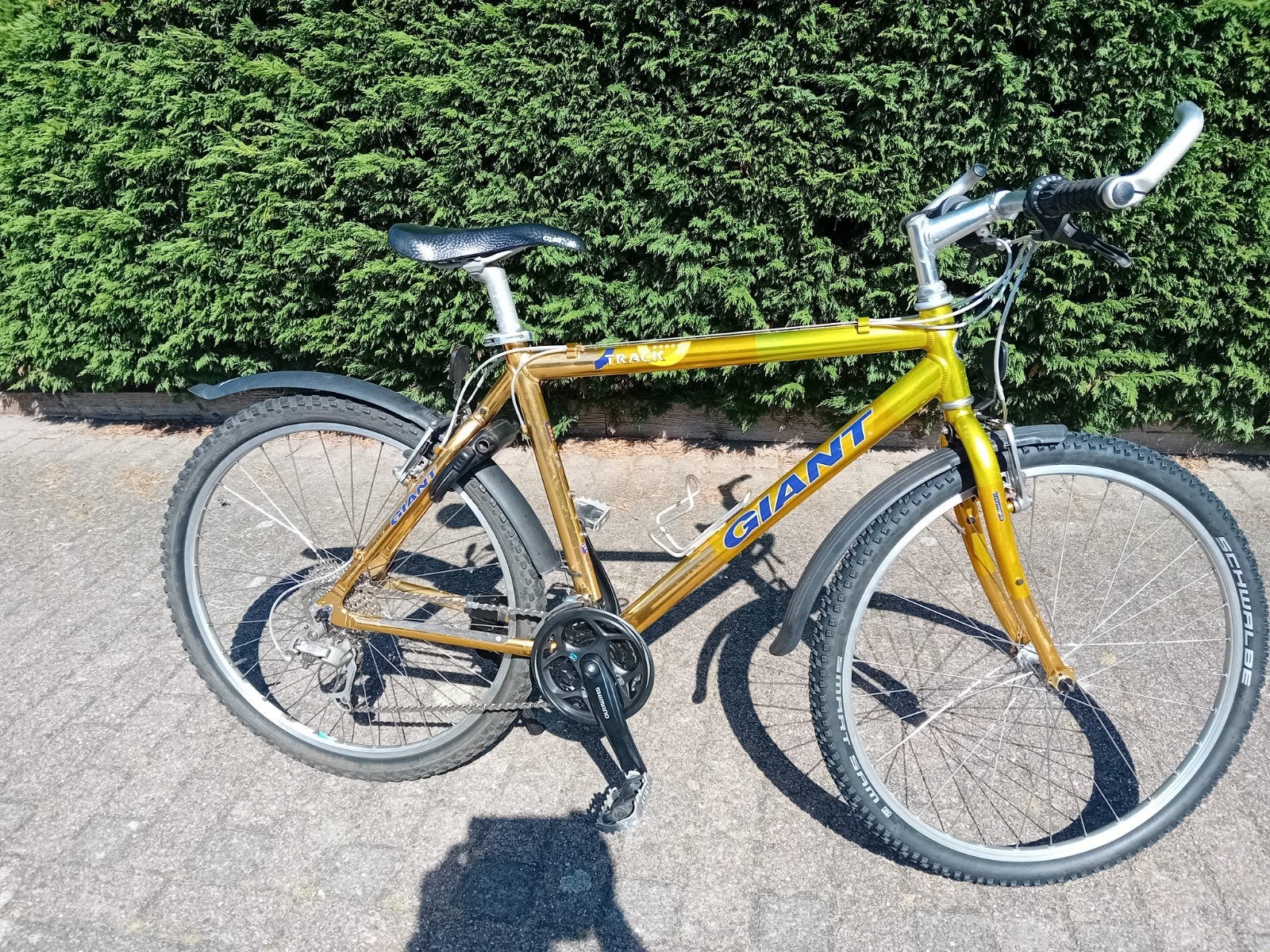 Giant mountainbike,  super en technisch 100%, Fietsen en Brommers, Fietsen | Dames | Sportfietsen en Toerfietsen, Ophalen, 26 inch