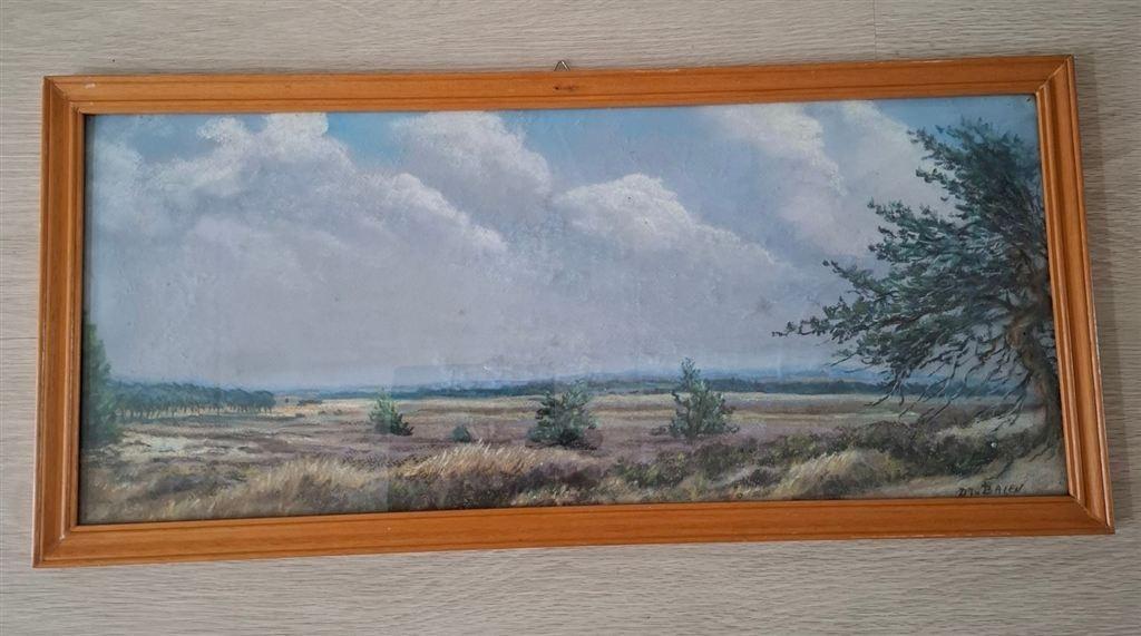 D.J. van Balen, pastel Hooge Veluwe, gesigneerd., Ophalen of Verzenden