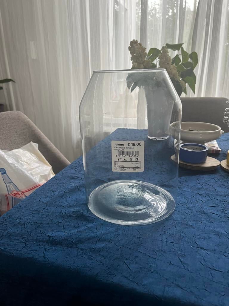 Glazen vaas/pot voor planten, Jumbo, Huis en Inrichting, Woonaccessoires | Vazen, Zo goed als nieuw, Overige kleuren, 50 tot 75 cm