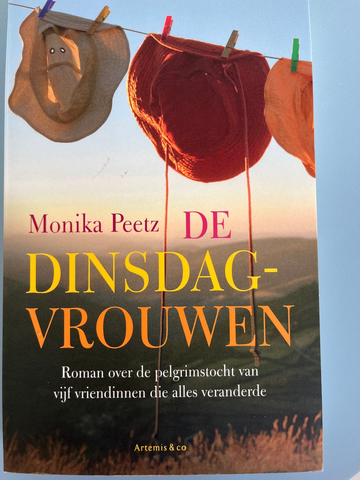 De Dinsdagvrouwen - Monika Peetz (Roman), Boeken, Ophalen of Verzenden, Gelezen, Nederland