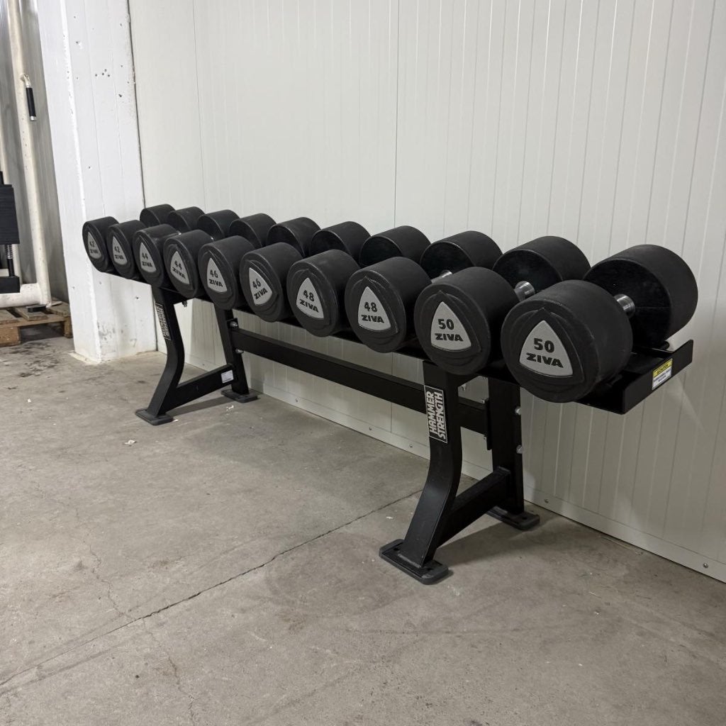 Hammer Strength Dumbellrek + Ziva Dumbells 42 t/m 50 kg, Dumbbell, Gebruikt, -, -