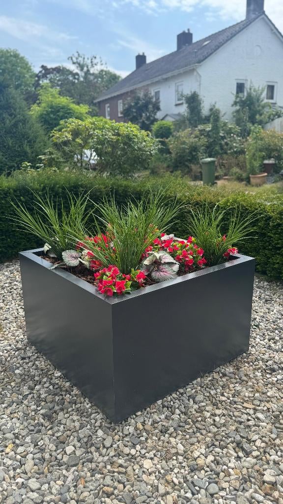 Plantenbak, Tuin en Terras, Info@plantenbakkenvanstaal.nl, Minder dan 60 cm, Nieuw, Ophalen of Verzenden