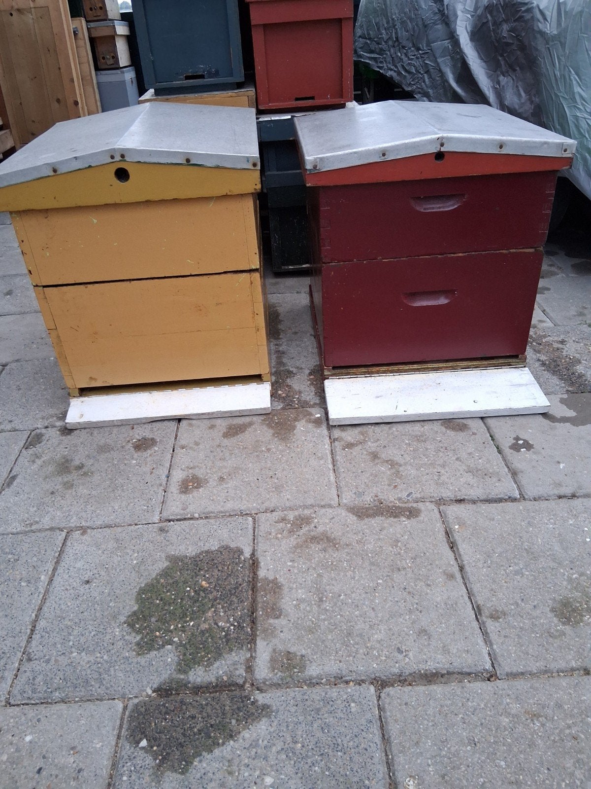 Bijen kasten NL simplex, Dieren en Toebehoren, Insecten en Spinnen, Bijen