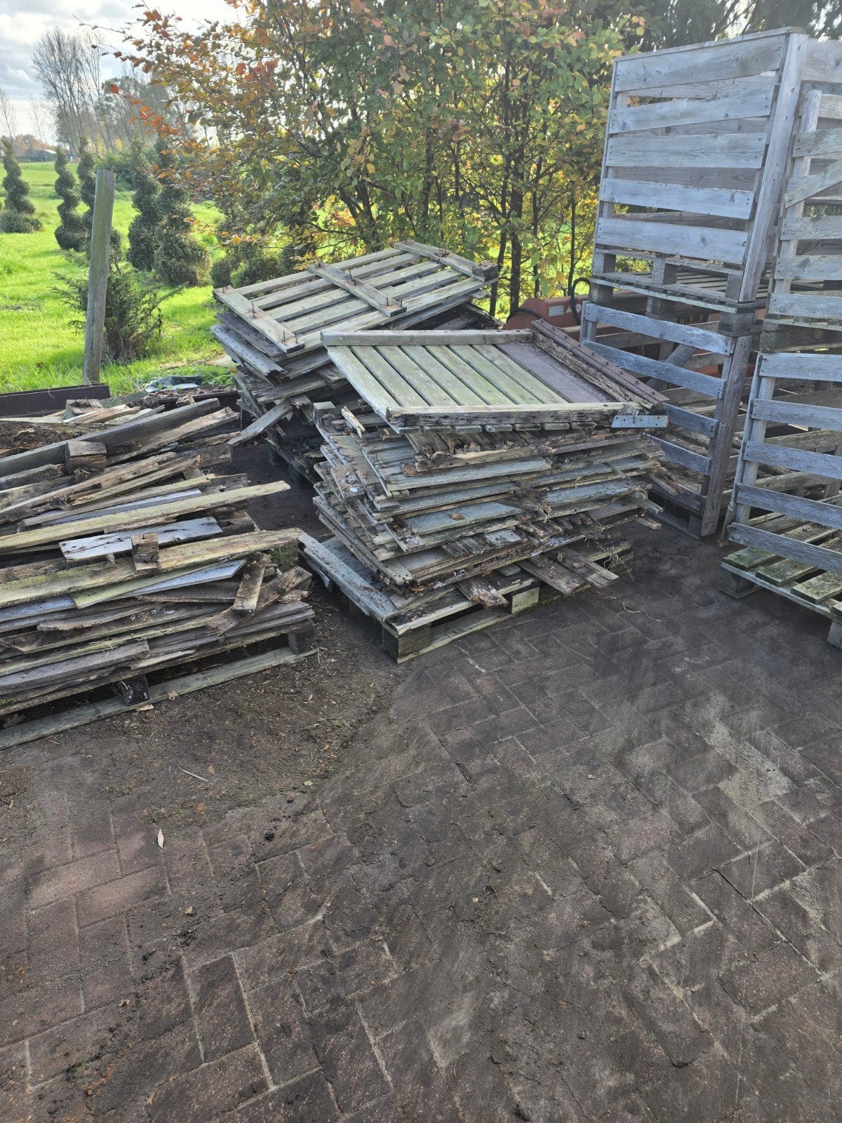 Stookhout voor Oud & Nieuw vuurkorf kachel, Gebruikt, 25 tot 50 mm, Ophalen of Verzenden, Pallet
