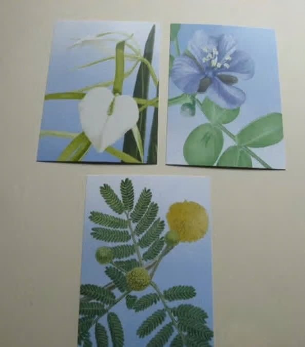 3 ansichtkaarten ‘Beleef de Natuur’, Verzenden, 1980 tot heden, Ongelopen, Overige soorten