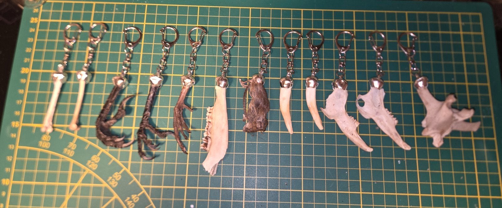 Unieke Sleutelhangers van Echt Dierlijk Materiaal, Ophalen of Verzenden, Nieuw