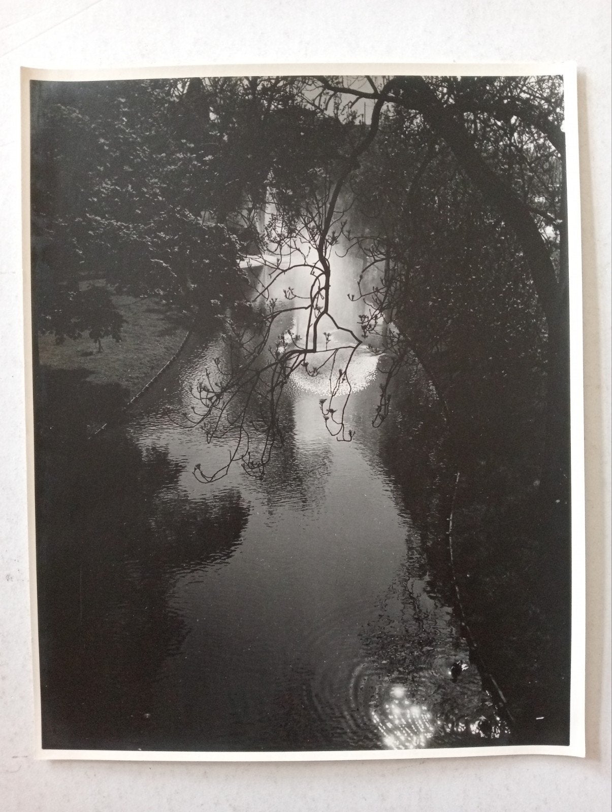 Piet Pijnenburg Oude foto Sloot, Ophalen of Verzenden, Voor 1940, Zo goed als nieuw, Overige onderwerpen