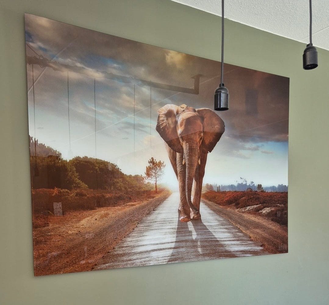 Schilderij van glas met olifant - Zeer goede staat, Ophalen, 125 cm of meer, Zo goed als nieuw, Schilderij