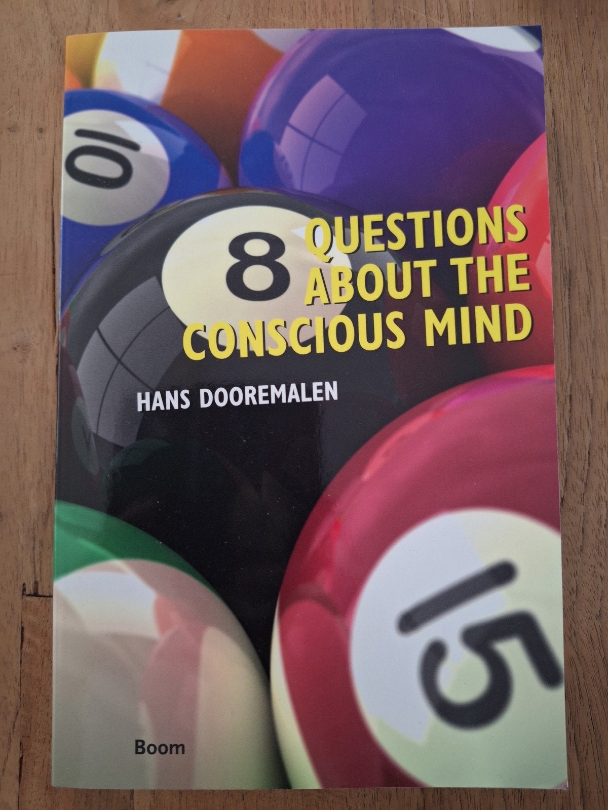 8 Questions About the Conscious Mind - Hans Dooremalen, Ophalen of Verzenden, Nieuw, Algemeen, Hans Dooremalen