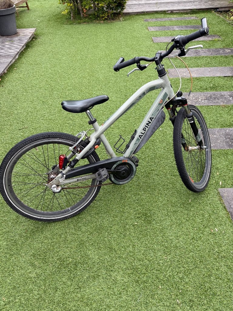 Alpina fiets 24 inch, Ophalen, Gebruikt, 24 inch, Alpina Trial
