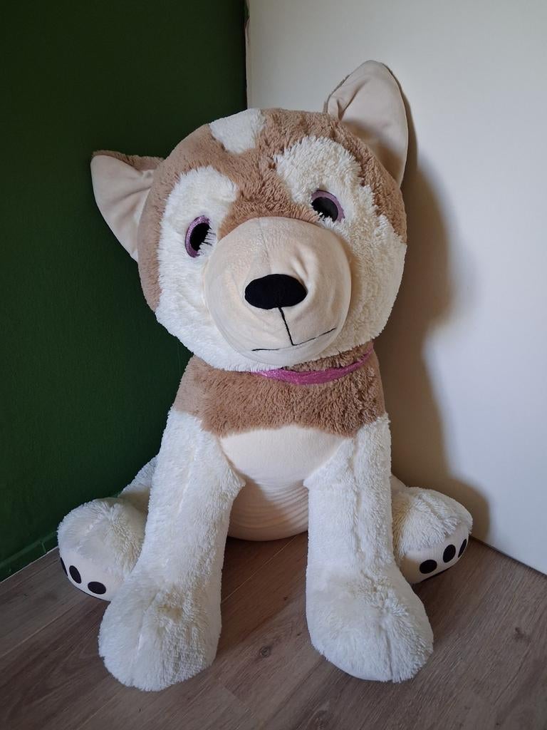 Grote knuffelhond Husky met glitterogen, Zo goed als nieuw, Middelgroot (20 tot 80 cm), Bruin, Hond