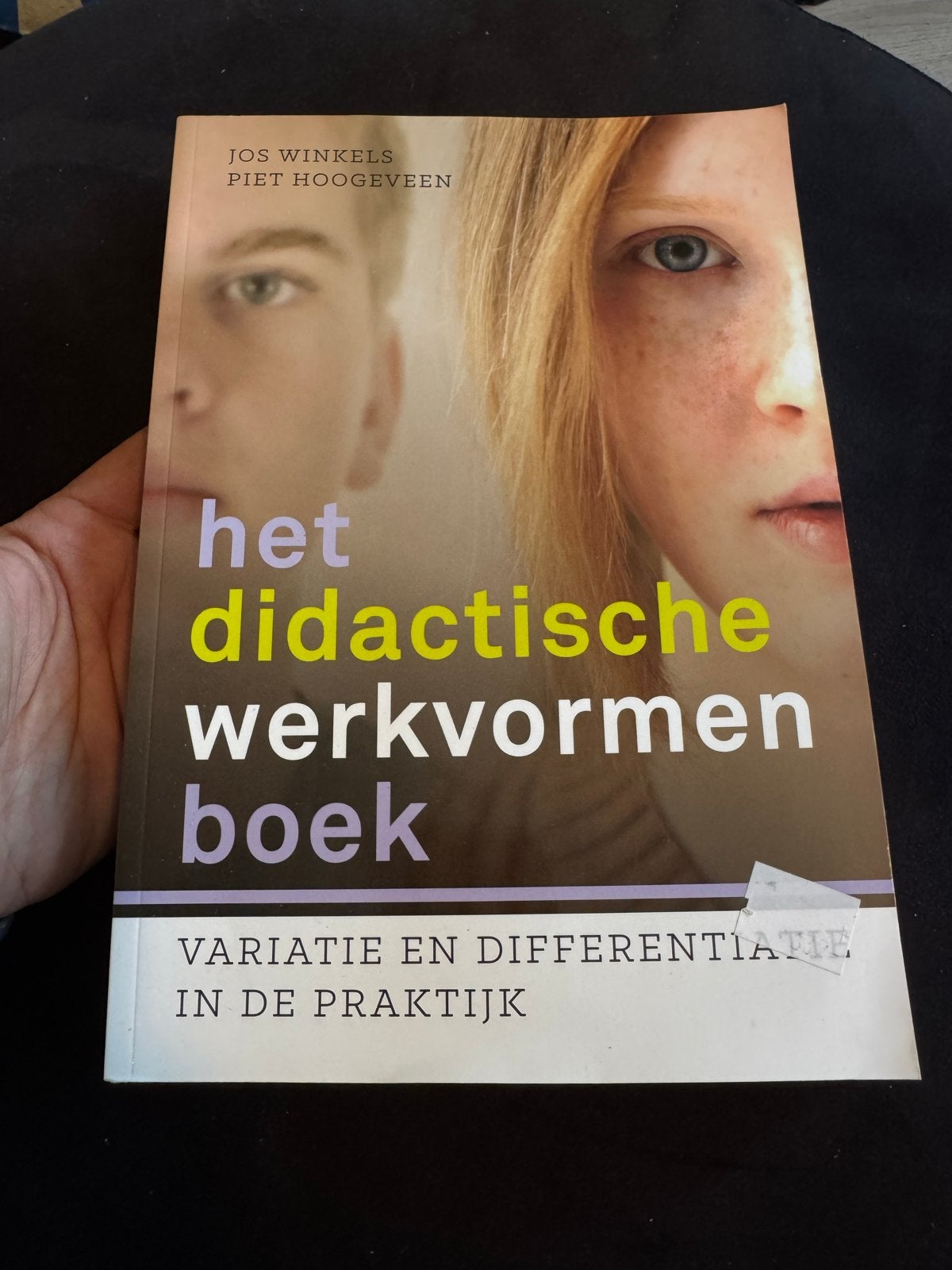 Het didactische werkvormenboek - 12e druk (2018), Boeken, Studieboeken en Cursussen, Ophalen of Verzenden, Gamma, Gelezen, HBO
