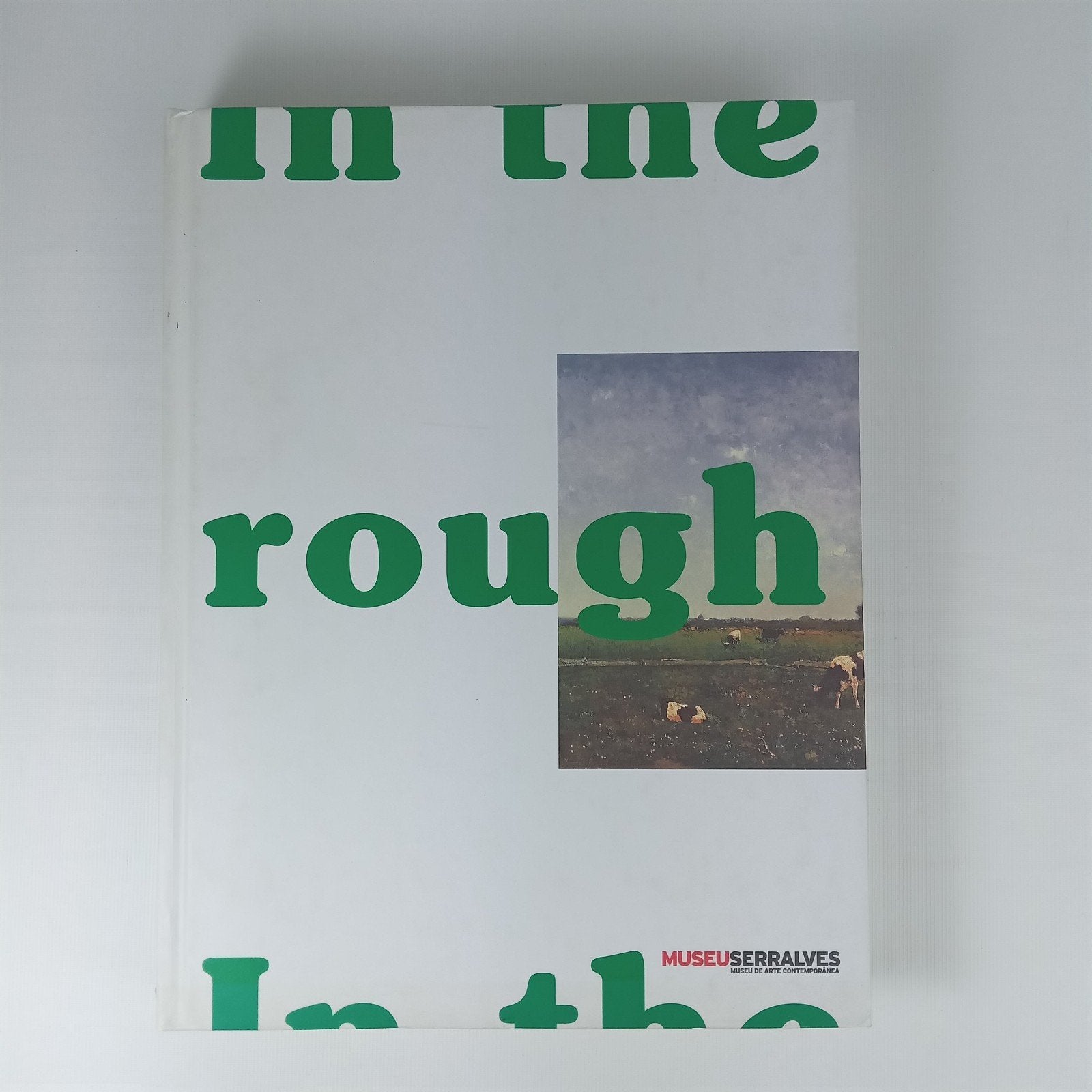 In the Rough: Natuur in de collectie Boijmans Van Beuningen, Ophalen of Verzenden, Gelezen, Overige onderwerpen, Diverse auteurs