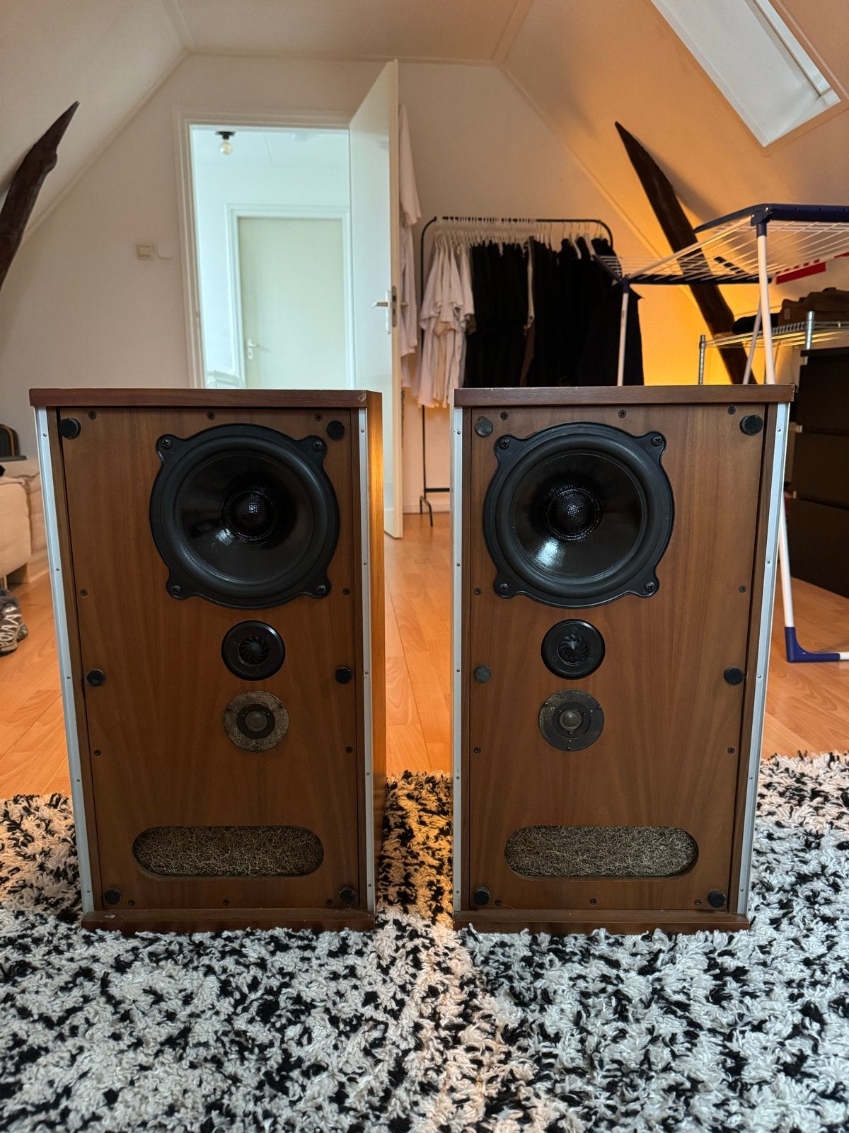 B&W DM2a Luidsprekers, Audio, Tv en Foto, Luidsprekers, Ophalen, Zo goed als nieuw, Bowers & Wilkins (B&W)
