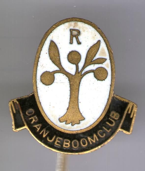 Oranjeboom bier email op zilverkleurig speldje ( N_154a ), Verzenden, Zo goed als nieuw, Merk, Speldje of Pin