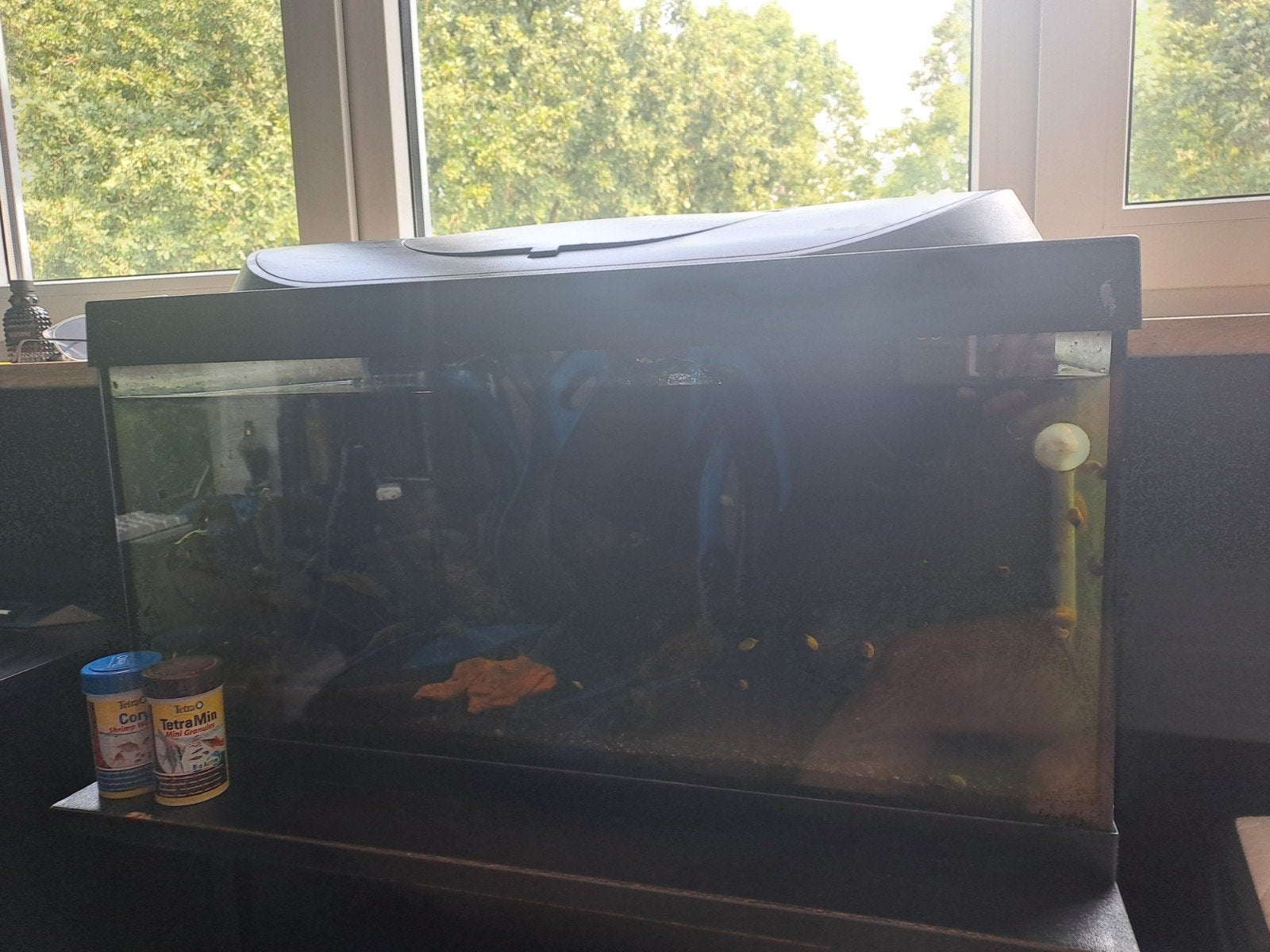 aquarium, Ophalen, Zo goed als nieuw, Overige instrumenten