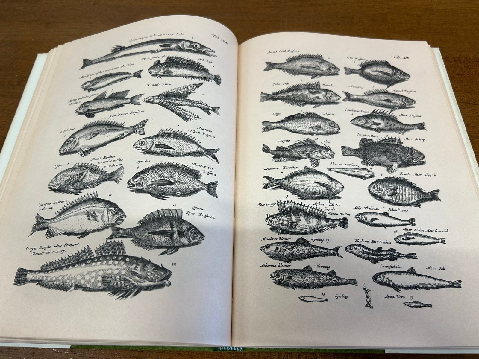 Matthäus Merian: Afbeeldingen uit J. Johnston's Natuur, Ophalen of Verzenden, Gelezen, Natuur algemeen