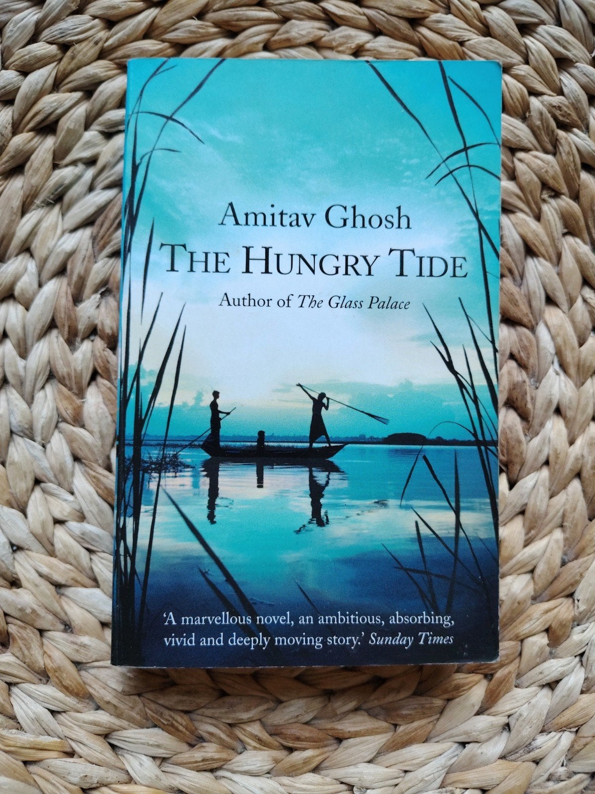 Amitav Ghosh - The Hungry Tide, Ophalen of Verzenden, Gelezen