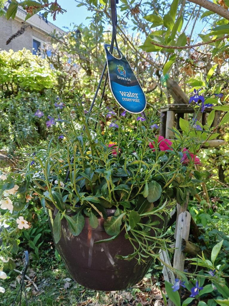 Plantenpotten met waterreservoir hang/staand, 2,-, Ophalen, Gebruikt, Rond, Aardewerk