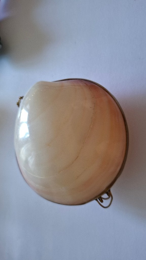 juwelen doosje schelp, Antiek en Kunst, Ophalen of Verzenden