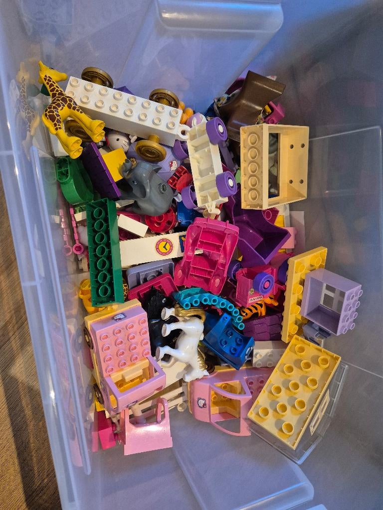 Meiden duplo, Ophalen, Gebruikt, Losse stenen, Duplo