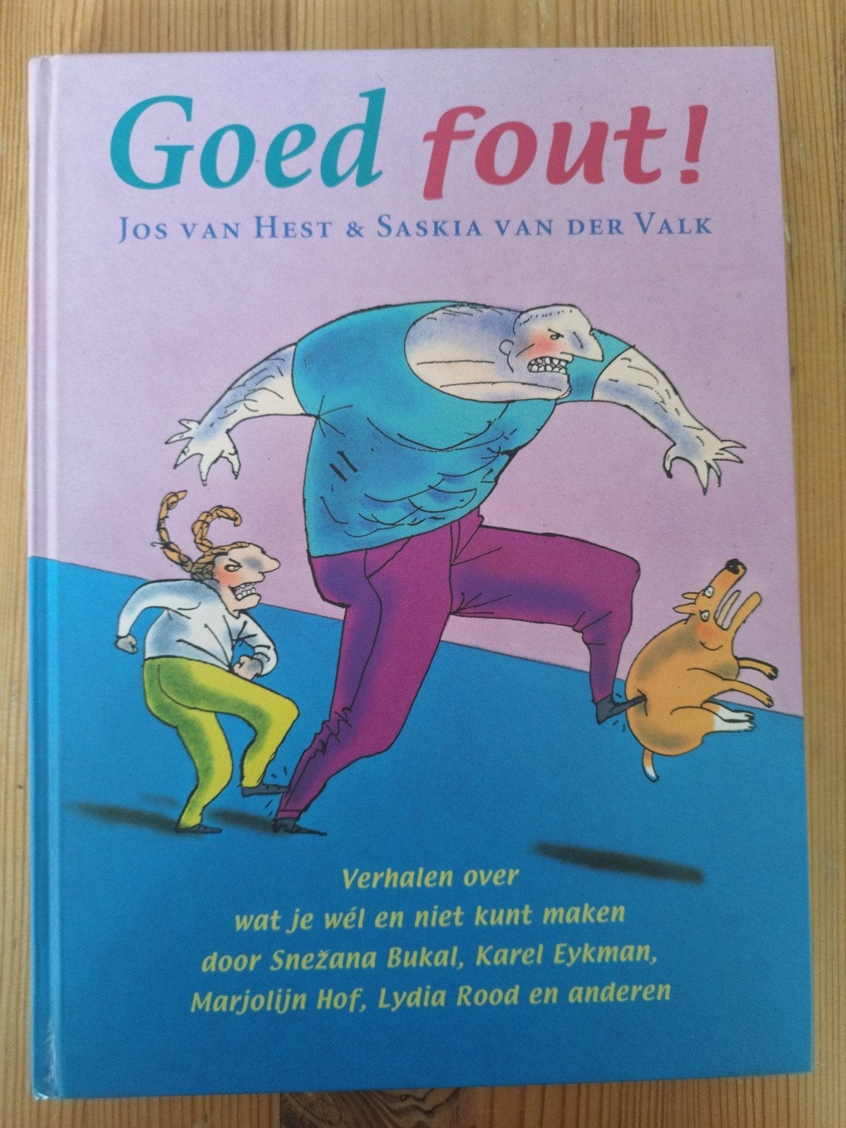 Goed Fout! Verhalen over wat je wel en niet kunt maken, Boeken, Ophalen of Verzenden, Gelezen, Jos van Hest & Saskia van der Valk