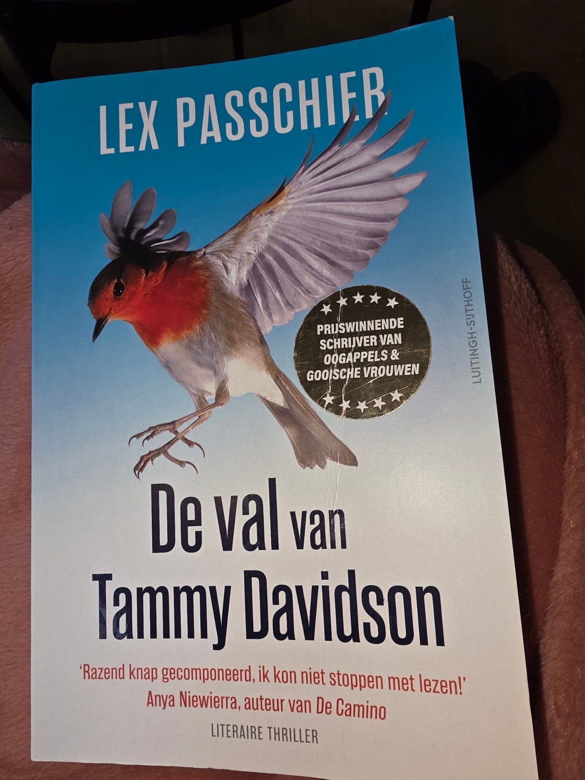 Lex Passchier - De val van Tammy Davidson, Ophalen of Verzenden, Zo goed als nieuw, Lex Passchier