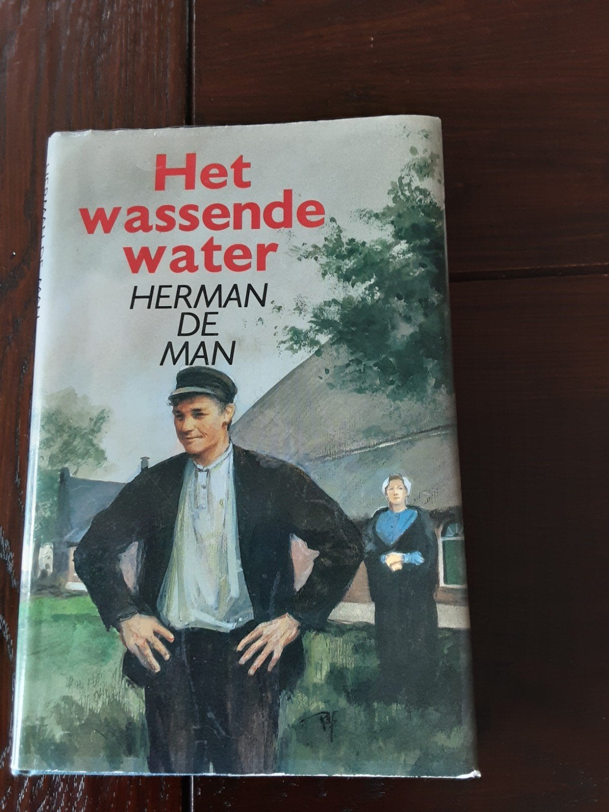 Het wassende water., Boeken, Ophalen of Verzenden, Gelezen, Noord-Brabant