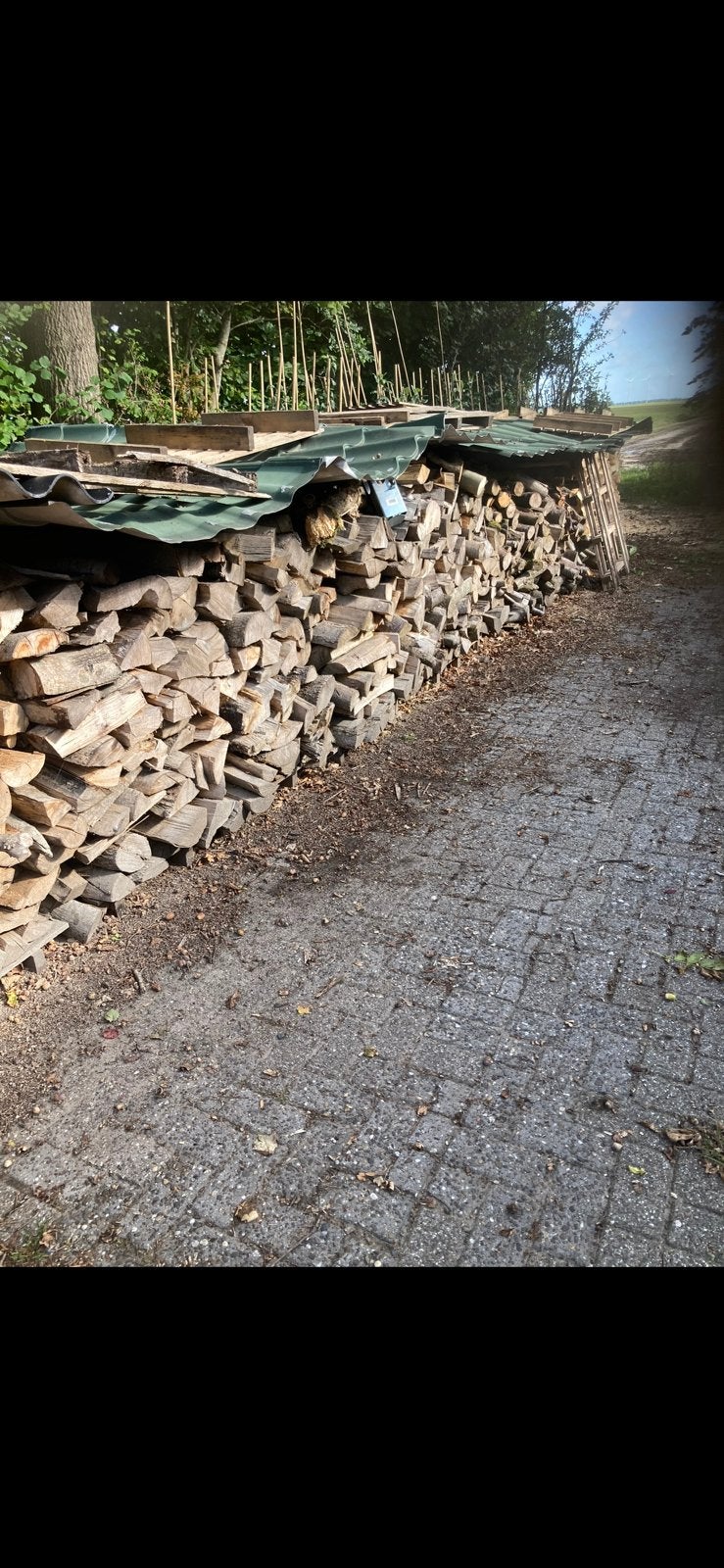 Te koop: Droog openhaardhout., Tuin en Terras, Haardhout, 6 m³ of meer, Ophalen, Essenhout, Blokken